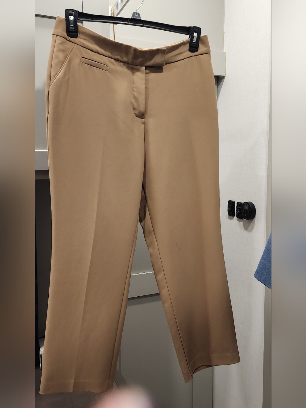 Investments Petites Camel Colored Slacks